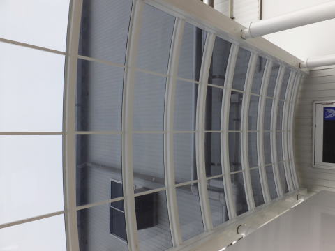 �h�}���`���b�s���O�{�H�ʐ^11�h