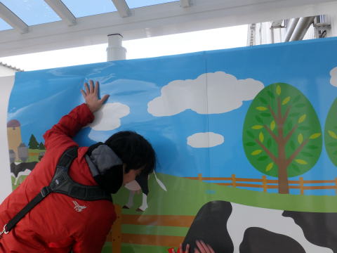 �h�Ŕ{�H�ʐ^3�h