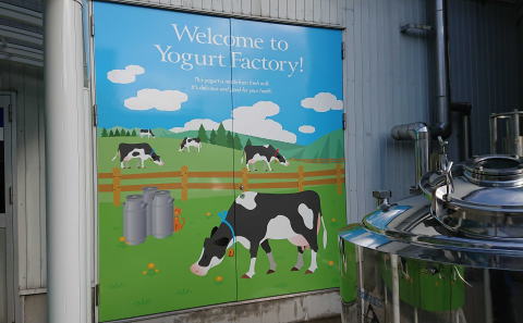 �h�}���`���b�s���O�{�H�ʐ^9�h