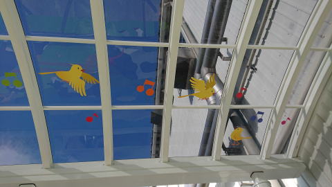 �h�}���`���b�s���O�{�H�ʐ^12�h