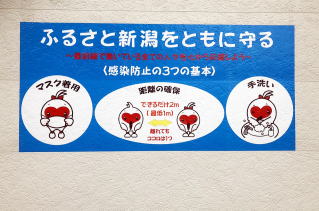 �h�O�ǃ��b�s���O�@�\�[�V�����f�B�X�^���X�h