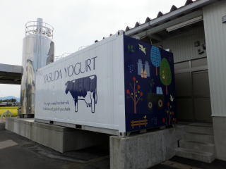 �h�}���`���b�s���O�{�H�ʐ^�h